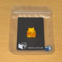 BOXXX KEYCAP THINK_P.Terribilis R2