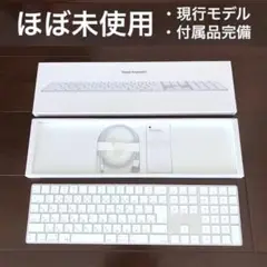 ほぼ未使用 APPLE MAGIC KEYBOARD JIS テンキー (SS)
