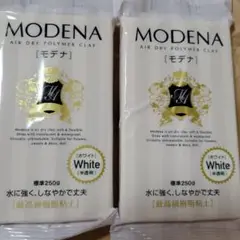パジコ　モデナ　最高級樹脂粘土　ホワイト　半透明　250g×2コセット　デコ