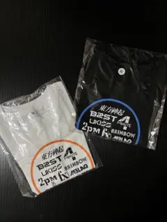ソウル大阪 ミュージック・オブ・ハート 2011会場Tシャツ 2種セット