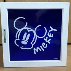 Mickey Mouse小物入れ