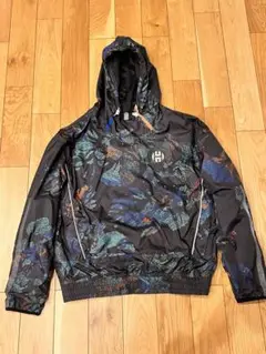 Item thumbnail for item 96200af8-701f-486e-80d0-494148108809