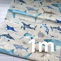 生地　ハギレ サメ　海の生き物　1m