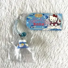 レア❣️未使用未開封！サンリオご当地キティ静岡2003 富士五湖