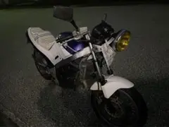 m29385308927_1.jpg?1711680315