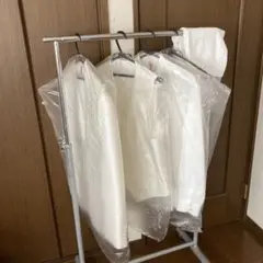 Item thumbnail for item 1382d41f-a862-43f6-bf0a-6bf8fe810c4d