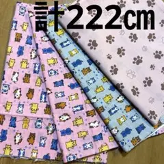 【特価】１組限り★ニャンコ　肉球セット★①