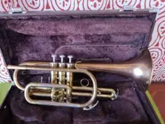 Item thumbnail for item 37d647e5-5ebf-43d3-acba-9ebfca6b2dc3