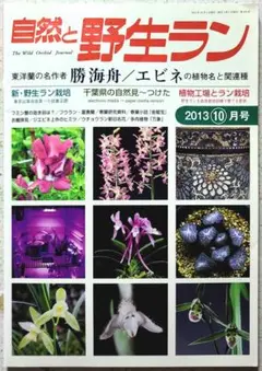 自然と野生ラン 2013年10月号