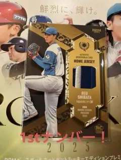 Item thumbnail for item 819e5f71-a0ff-42fa-838b-9b5f0cf6619b