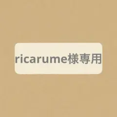 未使用品　Topologie Bottle Sacoche トポロジー