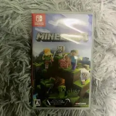 Minecraft Nintendo Switch版