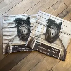 アルフALF マグショット柄　クッションカバー２枚セット