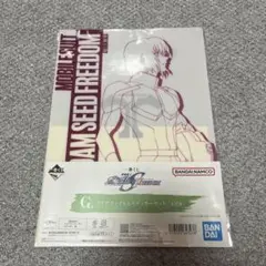 機動戦士ガンダム　SEED FREEDOM アスラン　クリアファイル　一番くじ