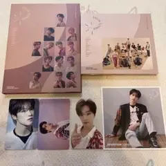 SEVENTEEN 舞い落ちる花びら　ディノ　セット