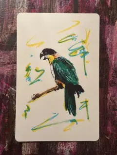 スグロシロハラインコ　水彩ペン　ペン画