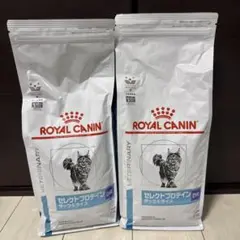 Item thumbnail for item 0ee4dd19-3f38-432a-9ebb-eecc34582a76