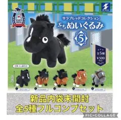 コンプ サラブレッドコレクションぷちぬいぐるみ5 全5種フルコンプセット❗️