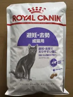 Item thumbnail for item 39796d48-7e8c-4d37-99bf-67c2d32dcd2e