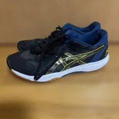 ASICS ローテジャパン 28cm