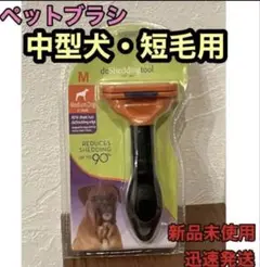 Item thumbnail for item dbcaa6fc-7f35-47bd-aada-7d38ad84b7b9