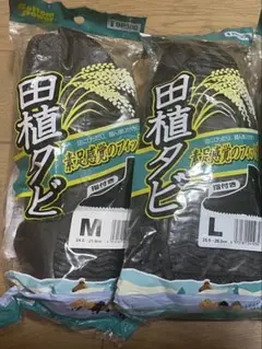 Item thumbnail for item bdb74b46-42dc-4bb8-b04b-385808f7e5a0