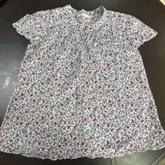 Item thumbnail for item 5b0c0862-9ac6-41ee-a9c3-532d88f9a521