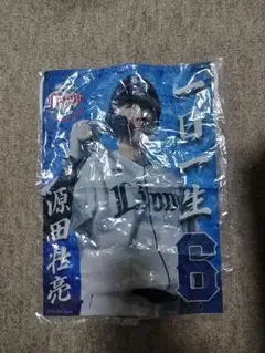 源田壮亮 タペストリー ガチャ