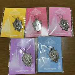 ディズニーリゾート　非売品　キーホルダー　プリンセスデイズ