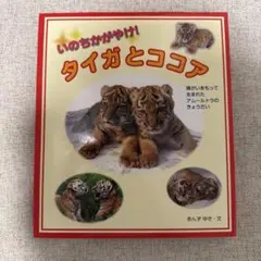 いのちかがやけ！タイガとココア
