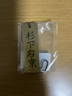 専用　　新品未開封　未使用　相棒　ストラップ　木札　亀山薫　シークレット 専用 新品未開封 未使用 相棒 ストラップ 木札 亀山薫