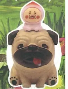 こびとづかんガチャ ガチャガルシア モモジリ