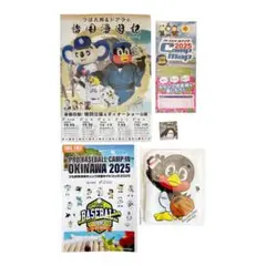 2025年最新】ヤクルトスワローズキャンプバックの人気アイテム