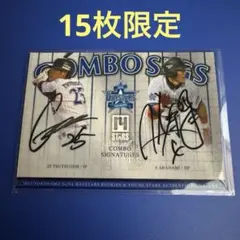 Item thumbnail for item 57bd4fbc-0f9c-4823-ae90-bc78b4444de3