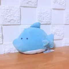 つぶらな瞳　水族館　ぬいぐるみ