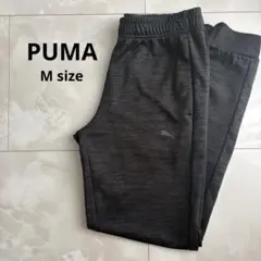 PUMA プーマ　トレーニングウェア　ジャージパンツ　Mサイズ