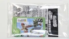 JR東日本 ポケモンスタンプラリー2025 スペシャルピック　黄色いメガルカリオ