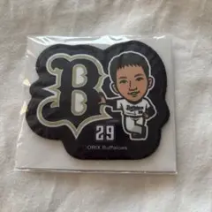 田嶋大樹 ワッペンバッジ