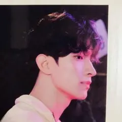 SEVENTEEN ドギョム　MUSEUM入場特典