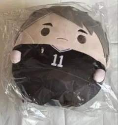 ハイキュー 宮治 ふわコロりん Mサイズ