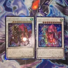 遊戯王 RC04-JP035 フルール・ド・バロネス レリーフ コレレア 各1枚