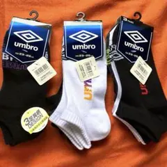 Item thumbnail for item 090046c2-2945-4aab-a7a2-08c623cc018f