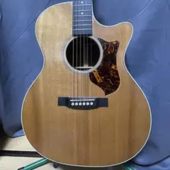 Martin GPCPA4 エレアコ (管理ヤヒ) Amazon | Martin GPCPA4/N エレアコギター (マーチン