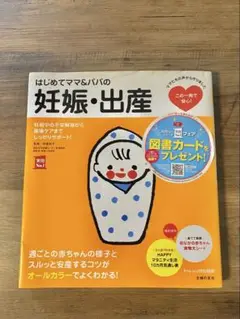 はじめてママ&パパの妊娠・出産 : 妊娠中の不安解消から産後ケアまでこの一冊で…