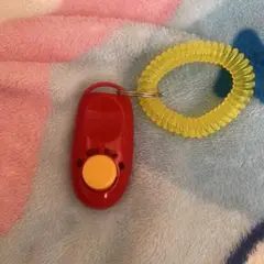 Item thumbnail for item b6d113ba-2c2d-40b1-8e9e-7263eb005926