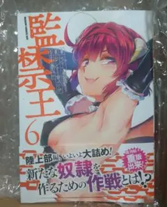 監禁王 6