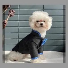 Item thumbnail for item fb6c6f3b-381c-4a10-9296-67beb914e6d5