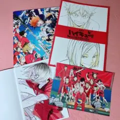 ハイキュー！！　ゴミ捨て場の決戦　パンフレット　入場者プレゼント