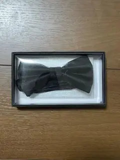 Item thumbnail for item a3a7fa25-b9b3-46c9-bbc6-fd98bd833510