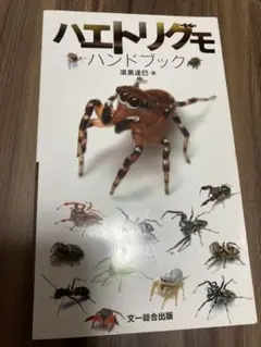 ハエトリグモ ハンドブック